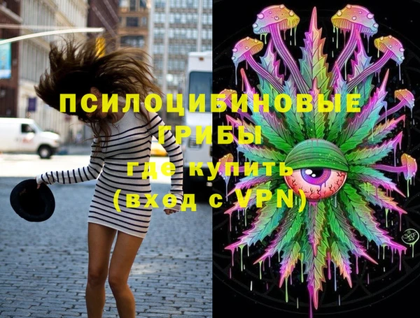 ECSTASY Медногорск