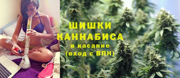 шишки Медвежьегорск