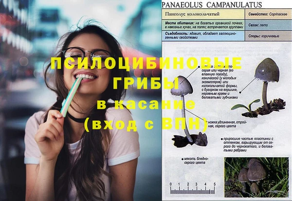 синтетический гашиш Вяземский