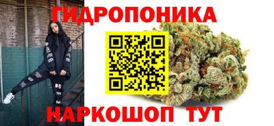 стаф Гусиноозёрск