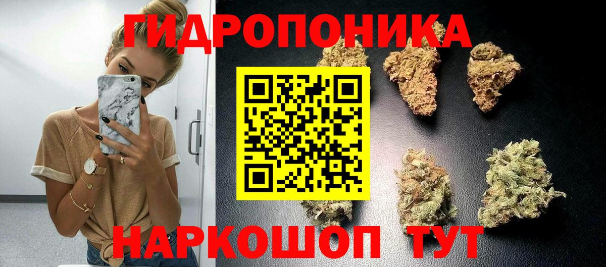 Губкин  Бошки Шишки семена  Вход с VPN  Канабис LSD WEED 